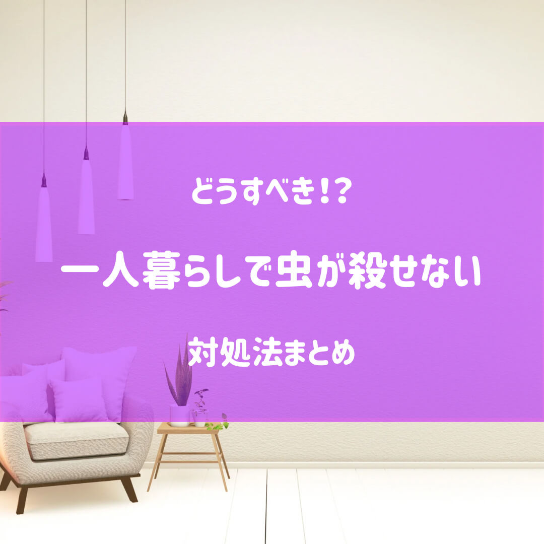 一人暮らしで虫が殺せない！対処法や触らずに駆除する方法