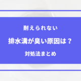 一人暮らし 排水 溝 臭い