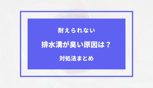 一人暮らし 排水 溝 臭い