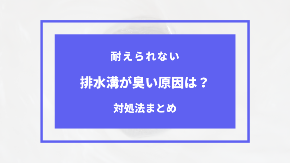 一人暮らし 排水 溝 臭い